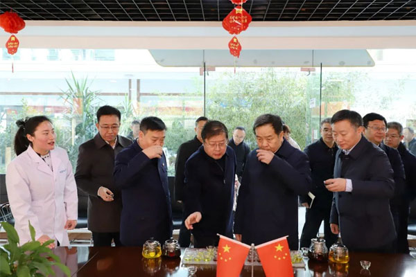 陈市长一行品尝yl23455永利集团五和药茶 陈市长一行品尝yl23455永利集团五和药茶
