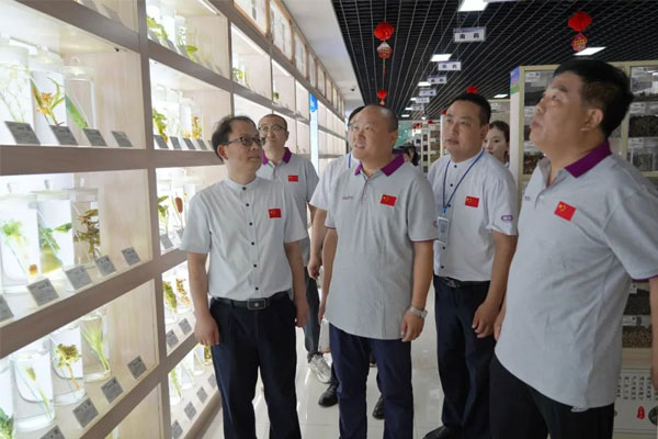 参观yl23455永利集团中药标本展览馆 参观yl23455永利集团中药标本展览馆