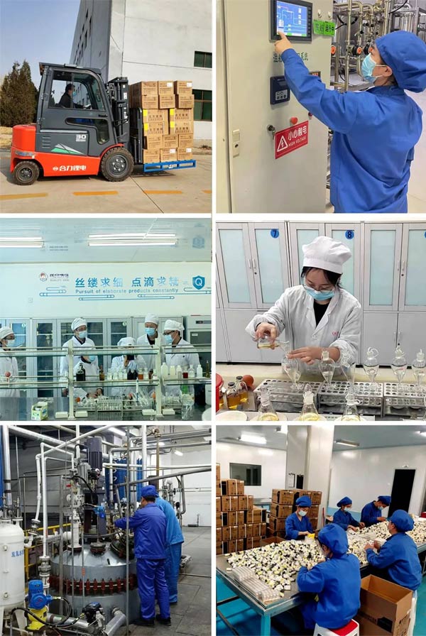 yl23455永利集团泰盛 yl23455永利集团泰盛
