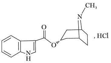 盐酸托烷司琼注射液 盐酸托烷司琼注射液