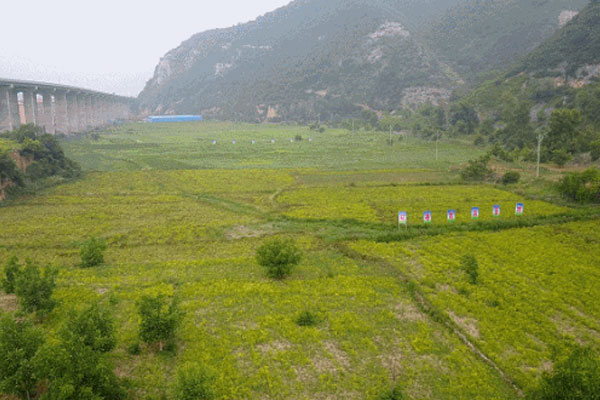 yl23455永利集团,yl23455永利集团道地药材 yl23455永利集团,yl23455永利集团道地药材