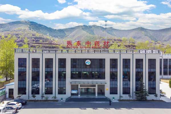 yl23455永利集团中药材 yl23455永利集团中药材