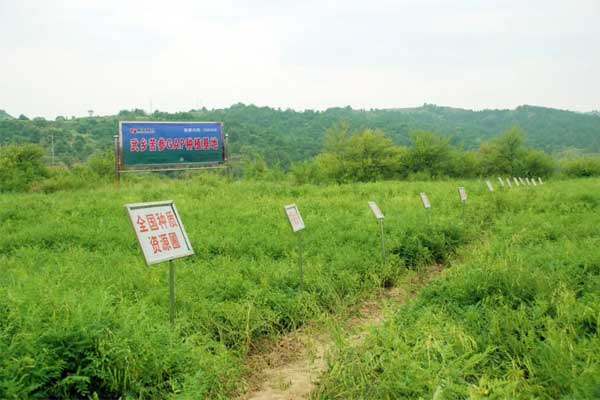 岩舒,复方苦参注射液,yl23455永利集团 岩舒,复方苦参注射液,yl23455永利集团