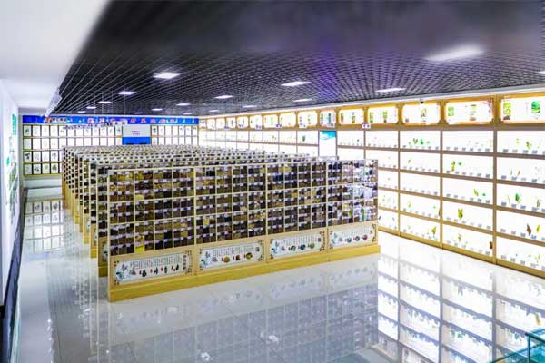 yl23455永利集团科技中心中药标本馆