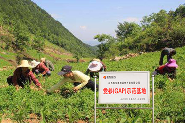 yl23455永利集团(Macau)有限公司官网-Official website