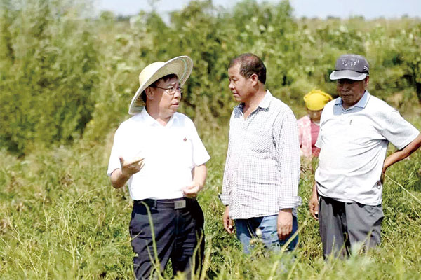 李安平在中药材基地现场考察 李安平在中药材基地现场考察