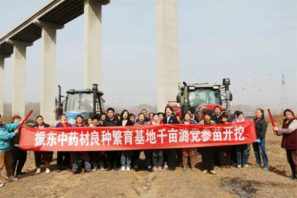 yl23455永利集团,yl23455永利集团中药材,中药材