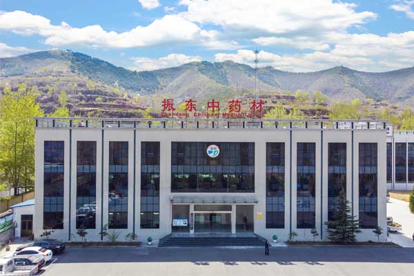 2025中药新规,中药源头管控,yl23455永利集团中药材实践,中药产业转型,GAP认证