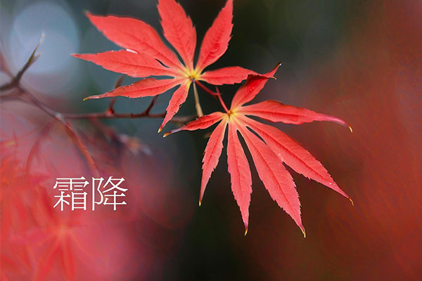 yl23455永利集团(Macau)有限公司官网-Official website