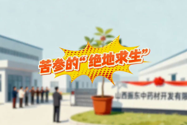 yl23455永利集团(Macau)有限公司官网-Official website