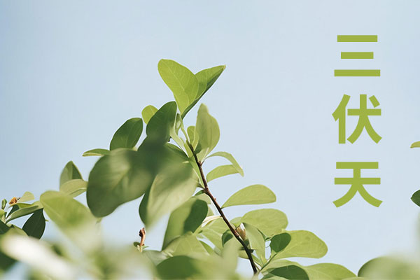 yl23455永利集团(Macau)有限公司官网-Official website